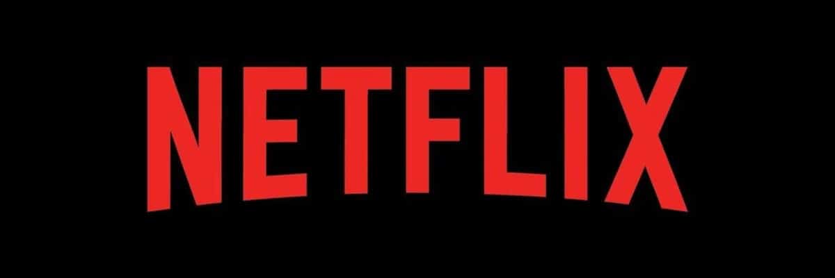 Netflix Account-Sharing